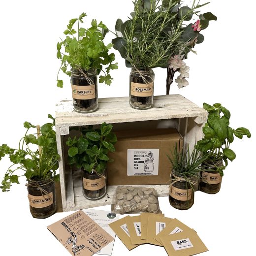 Indoor Herb Garden Kit in Jars