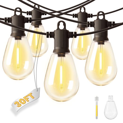 ZOTOYI 30ft waterproof festoon lights 30Ft Waterproof Festoon Lights