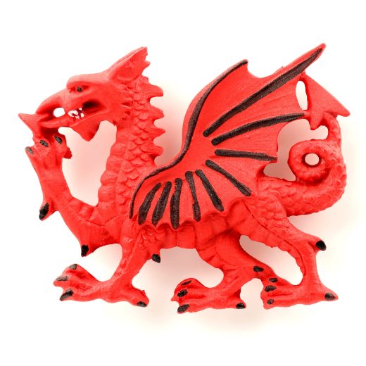 Puckator welsh dragon fridge magnet Puckator welsh dragon fridge magnet